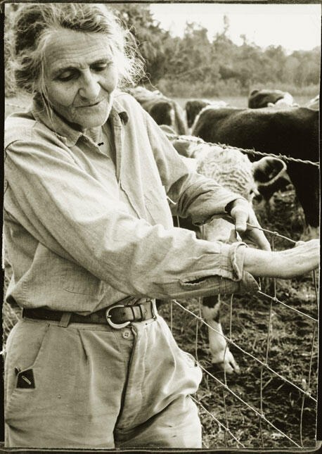 Woman in work clothes leaning on a wire fence with cattle behind her